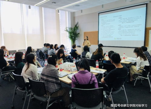 廣州某企業(yè)管理咨詢公司對標(biāo)阿里巴巴,學(xué)習(xí)如何打造一支銷售鐵軍